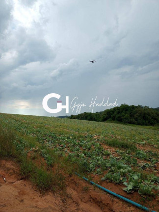 Imagem Terreno à Venda, 10 m² em Colégio - Ibiúna Imagem Terreno à Venda, 10 m² em Colégio - Ibiúna