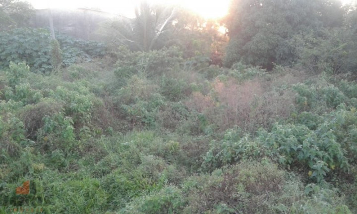 Imagem Imóvel à Venda, 1.215 m² em Pacajus - Pacajus
