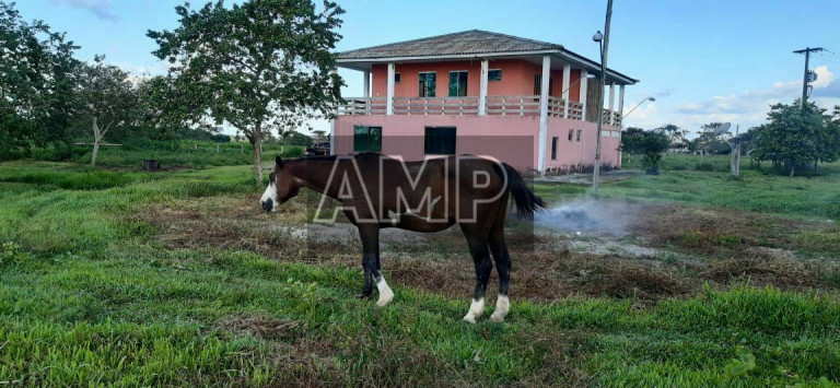 Imagem Imóvel com 4 Quartos à Venda, 180.000 m² em Não Informado - Não Informado Imagem Imóvel com 4 Quartos à Venda, 180.000 m² em Não Informado - Não Informado