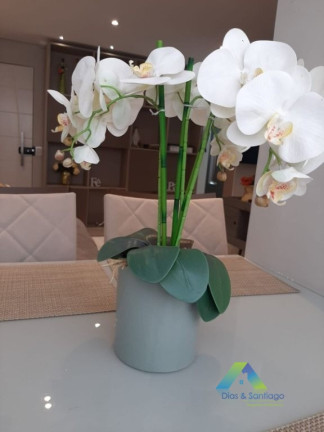 Imagem Apartamento com 2 Quartos à Venda, 48 m² em Vila Guarani (zona Sul) - São Paulo Imagem Apartamento com 2 Quartos à Venda, 48 m² em Vila Guarani (zona Sul) - São Paulo