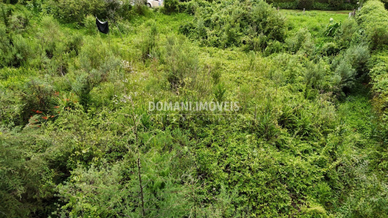 Imagem Terreno à Venda, 1.590 m² em Região De Capivari - Campos Do Jordão