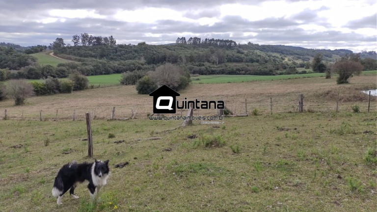 Imagem Imóvel com 4 Quartos à Venda, 80.000 m² em Colônia Santa Maria - Pelotas