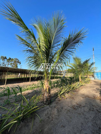 Imagem Chácara à Venda, 3.520 m² em Campos Bello 2 - São Gonçalo Dos Campos Imagem Chácara à Venda, 3.520 m² em Campos Bello 2 - São Gonçalo Dos Campos
