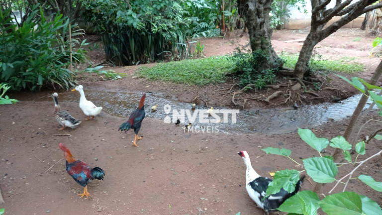 Imagem Chácara com 2 Quartos à Venda, 8.250 m² em Centro - Hidrolândia Imagem Chácara com 2 Quartos à Venda, 8.250 m² em Centro - Hidrolândia