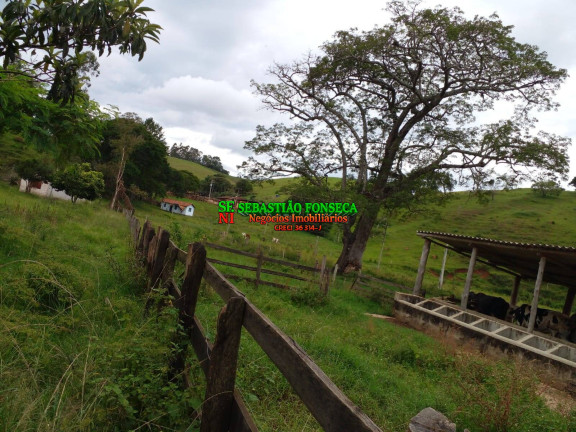 Imagem Chácara à Venda, 14 m² em área Rural De Guaratinguetá - Guaratinguetá Imagem Chácara à Venda, 14 m² em área Rural De Guaratinguetá - Guaratinguetá