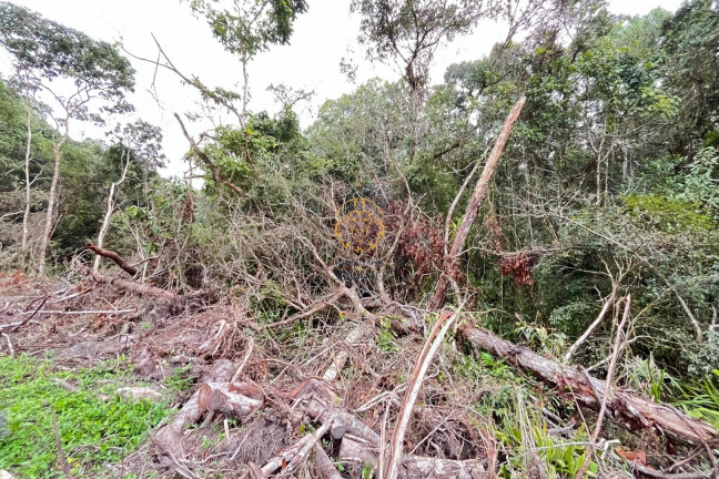 Imagem Terreno à Venda, 375 m² em Pontal Do Norte - Itapoá Imagem Terreno à Venda, 375 m² em Pontal Do Norte - Itapoá