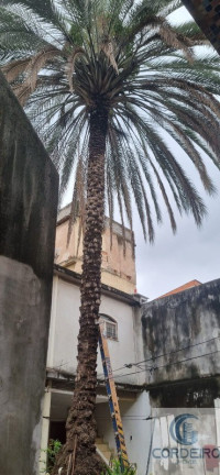 Imagem Imóvel com 4 Quartos à Venda, 300 m² em Vilar Dos Teles - São João De Meriti Imagem Imóvel com 4 Quartos à Venda, 300 m² em Vilar Dos Teles - São João De Meriti