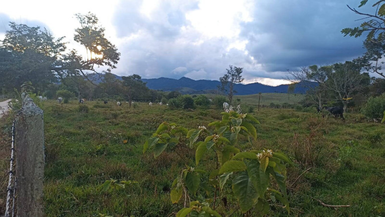 Imagem Fazenda à Venda, 100 m² em Estiva - Taubaté