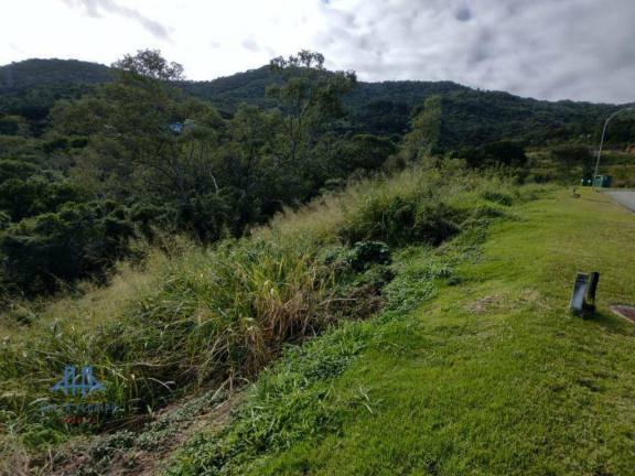 Imagem Terreno à Venda, 533 m² em Itacorubi - Florianópolis