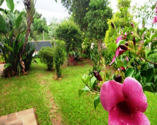 Imagem Imóvel com 3 Quartos à Venda,  em Vila Da Cunha - Ivoti