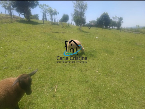 Imagem Terreno à Venda, 32.000 m² em Zona Rural - Prudentópolis Imagem Terreno à Venda, 32.000 m² em Zona Rural - Prudentópolis