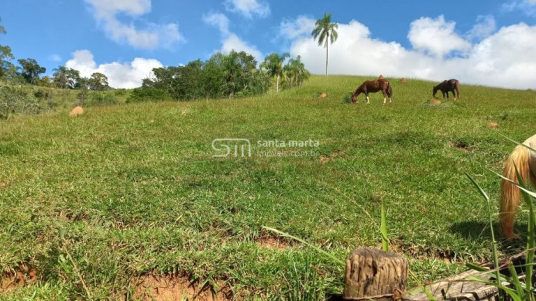 Imagem Imóvel com 2 Quartos à Venda, 266.000 m² em Branco - Lavrinhas