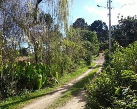Imagem Terreno à Venda, 1.208 m² em Ackermann - Nova Petrópolis