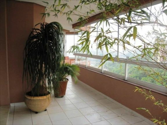 Imagem Apartamento com 4 Quartos à Venda, 353 m² em Panamby - São Paulo Imagem Apartamento com 4 Quartos à Venda, 353 m² em Panamby - São Paulo