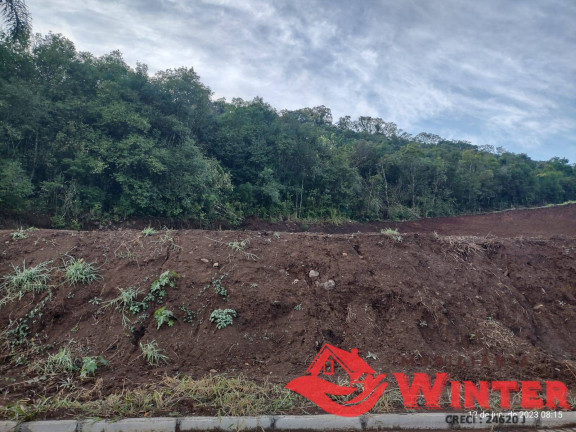 Imagem Terreno à Venda, 499 m² em Canto Krewer - Vale Real Imagem Terreno à Venda, 499 m² em Canto Krewer - Vale Real