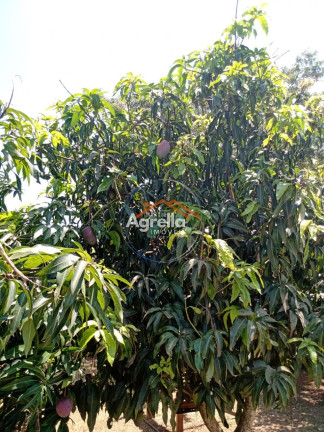 Imagem Imóvel com 1 Quarto à Venda, 800 m² em Chacaras Bulgarelli - Mogi Mirim Imagem Imóvel com 1 Quarto à Venda, 800 m² em Chacaras Bulgarelli - Mogi Mirim