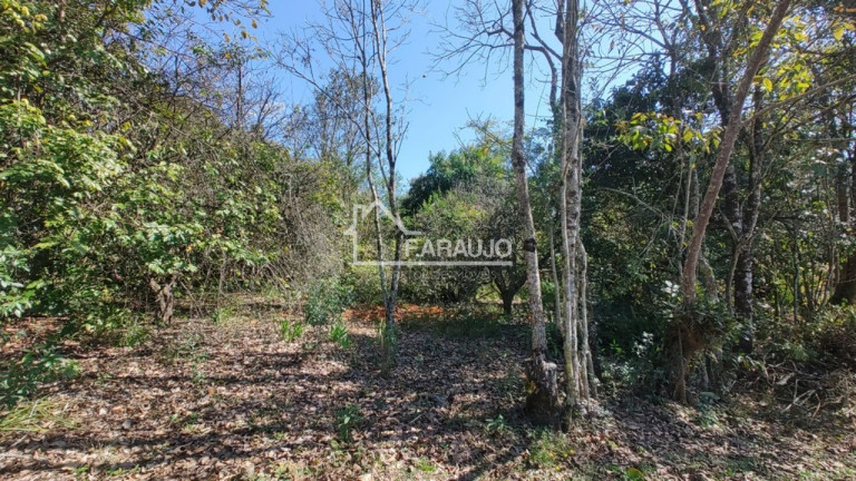 Imagem Imóvel com 3 Quartos à Venda, 30.156 m² em Barra - Salto De Pirapora