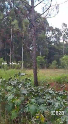 Imagem Terreno à Venda, 5.476 m² em Chácaras Cardoso - Bauru Imagem Terreno à Venda, 5.476 m² em Chácaras Cardoso - Bauru