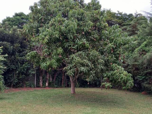 Imagem Chácara com 4 Quartos à Venda, 5.664 m² em Portal São Marcelo - Bragança Paulista Imagem Chácara com 4 Quartos à Venda, 5.664 m² em Portal São Marcelo - Bragança Paulista