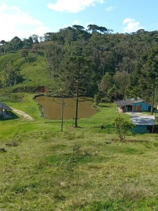 Imóvel à Venda, 30.250 m² em Matulao - Tijucas Do Sul