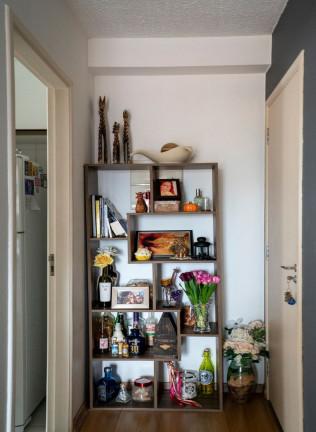 Imagem Apartamento com 3 Quartos à Venda, 58 m² em Vila Matilde - São Paulo
