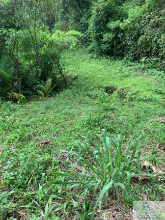 Imagem Chácara à Venda, 126.000 m² em Centro (rio Rosinha) - Rio Dos Cedros Imagem Chácara à Venda, 126.000 m² em Centro (rio Rosinha) - Rio Dos Cedros