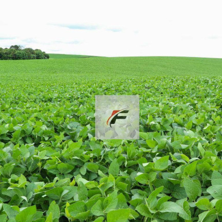 Imagem Fazenda à Venda, 1.185.800 m² em Zona Rural - Lapa Imagem Fazenda à Venda, 1.185.800 m² em Zona Rural - Lapa