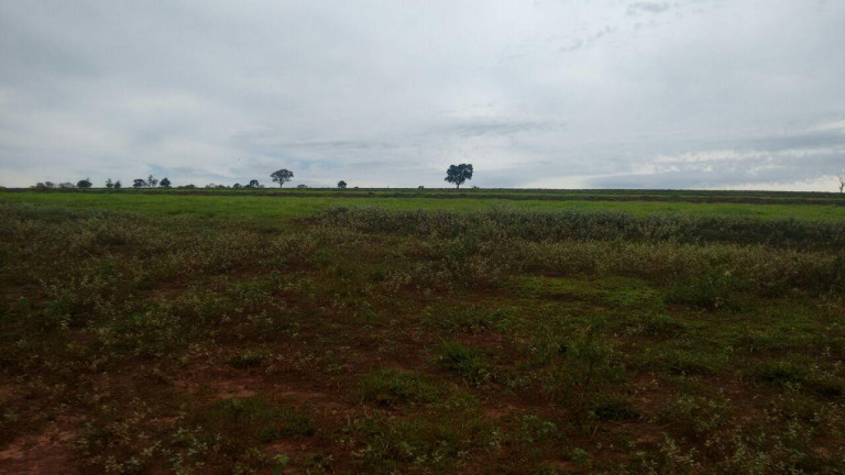 Imagem Chácara à Venda, 8 m² em Rural - Arandu Imagem Chácara à Venda, 8 m² em Rural - Arandu