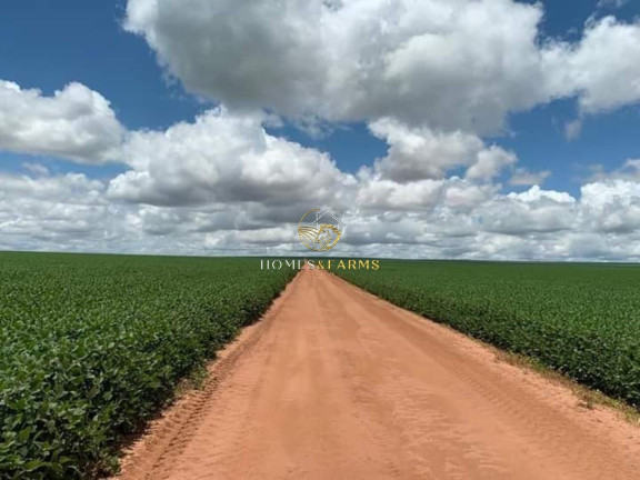 Imóvel com 3 Quartos à Venda, 16.943 m² em Zona Rural - Primavera Do Leste