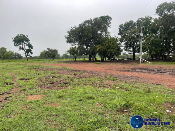 Imagem Chácara à Venda, 8 m² em Zona Rural - Matrinchã Imagem Chácara à Venda, 8 m² em Zona Rural - Matrinchã