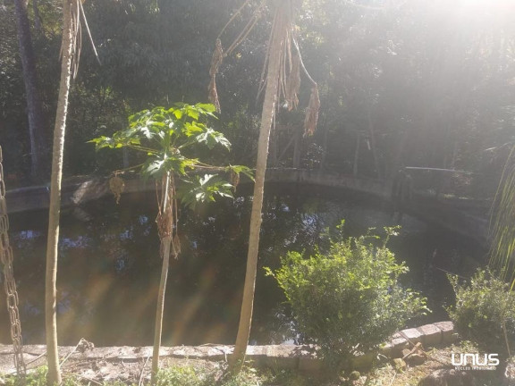 Imagem Fazenda à Venda, 46.887 m² em Sul Do Rio - Santo Amaro Da Imperatriz Imagem Fazenda à Venda, 46.887 m² em Sul Do Rio - Santo Amaro Da Imperatriz