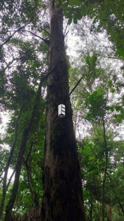 Imagem Imóvel à Venda, 28.000 m² em Campestre Do Menino Deus - Santa Maria Imagem Imóvel à Venda, 28.000 m² em Campestre Do Menino Deus - Santa Maria