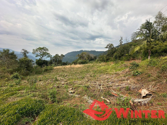 Imagem Chácara à Venda, 40.000 m² em Forqueta - Vale Real Imagem Chácara à Venda, 40.000 m² em Forqueta - Vale Real