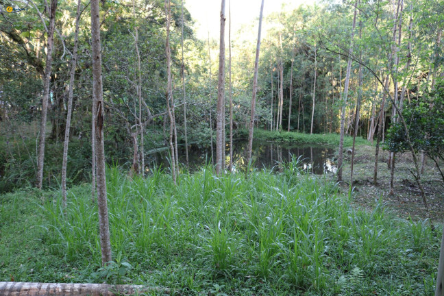 Imagem Fazenda à Venda, 72.924 m² em Sul Do Rio - Santo Amaro Da Imperatriz Imagem Fazenda à Venda, 72.924 m² em Sul Do Rio - Santo Amaro Da Imperatriz
