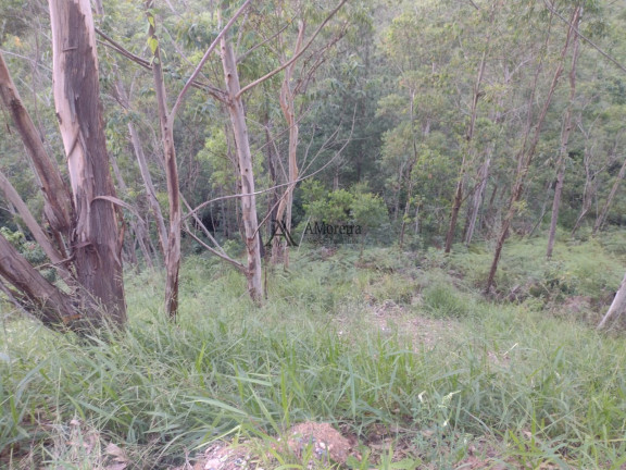 Imagem Terreno à Venda, 1.650 m² em Bairro Pau Arcado - Campo Limpo Paulista