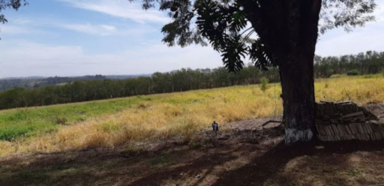 Terreno à Venda, 798 m² em Rio Abaixo - Atibaia