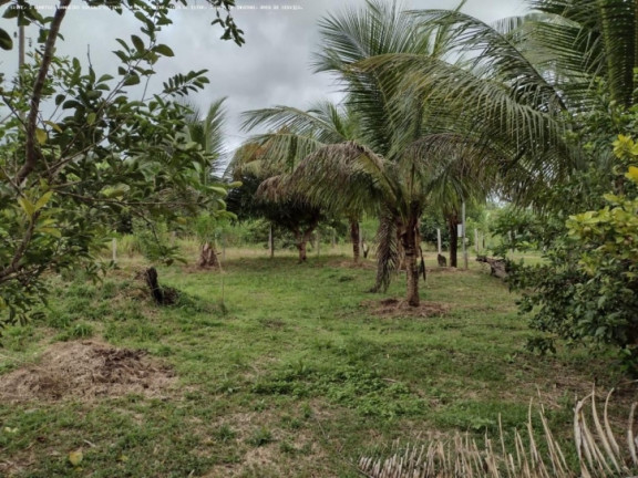 Imagem Chácara à Venda, 5.000 m² em Areia Branca - Porto Velho Imagem Chácara à Venda, 5.000 m² em Areia Branca - Porto Velho