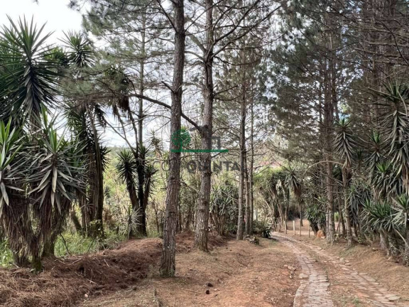 Imagem Terreno à Venda, 18 m² em Taboleiro Verde - Cotia Imagem Terreno à Venda, 18 m² em Taboleiro Verde - Cotia