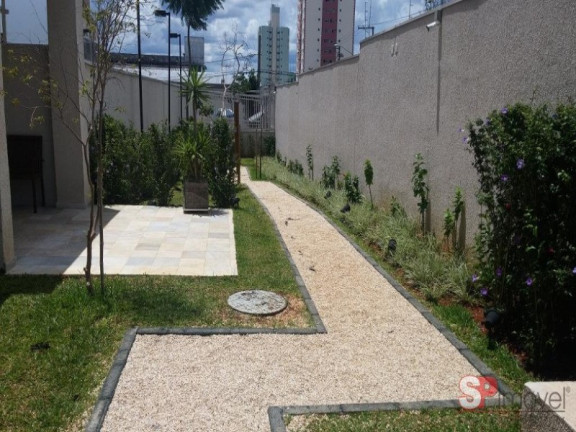 Imagem Apartamento com 3 Quartos à Venda, 67 m² em Vila Mazzei - São Paulo