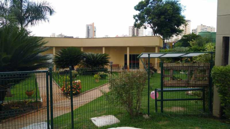Imagem Apartamento com 2 Quartos à Venda, 54 m² em Centro - Piracicaba Imagem Apartamento com 2 Quartos à Venda, 54 m² em Centro - Piracicaba