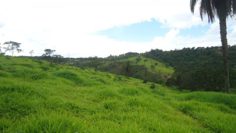 Imagem Fazenda à Venda, 60 m² em Azurita - Mateus Leme Imagem Fazenda à Venda, 60 m² em Azurita - Mateus Leme