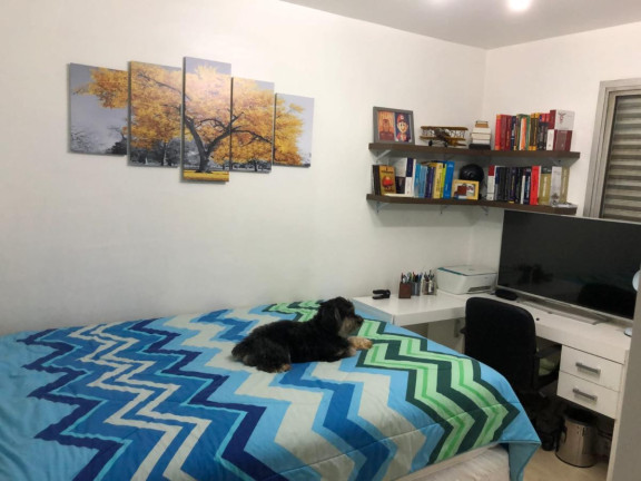 Imagem Apartamento com 1 Quarto à Venda, 38 m² em Cambuci - São Paulo Imagem Apartamento com 1 Quarto à Venda, 38 m² em Cambuci - São Paulo