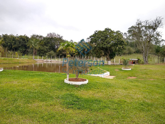 Imagem Chácara à Venda, 10.000 m² em Morro Alto - Balneário Piçarras Imagem Chácara à Venda, 10.000 m² em Morro Alto - Balneário Piçarras