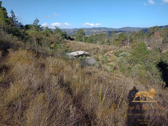 Imagem Terreno à Venda, 3.200 m² em Descansópolis - Campos Do Jordão Imagem Terreno à Venda, 3.200 m² em Descansópolis - Campos Do Jordão