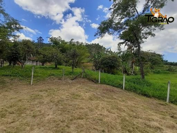 Imagem Chácara com 4 Quartos à Venda, 300.000 m² em Ilhota - Ilhota Imagem Chácara com 4 Quartos à Venda, 300.000 m² em Ilhota - Ilhota