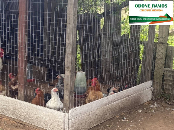 Imagem Casa com 2 Quartos à Venda, 1 m² em Nova Santa Rita
