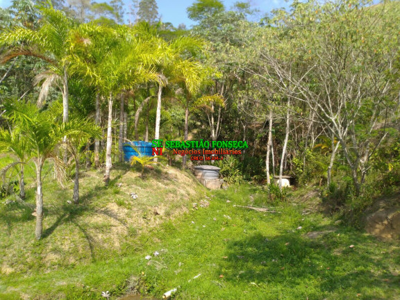 Imagem Chácara com 3 Quartos à Venda, 31.573 m² em Monteiro Lobato Imagem Chácara com 3 Quartos à Venda, 31.573 m² em Monteiro Lobato
