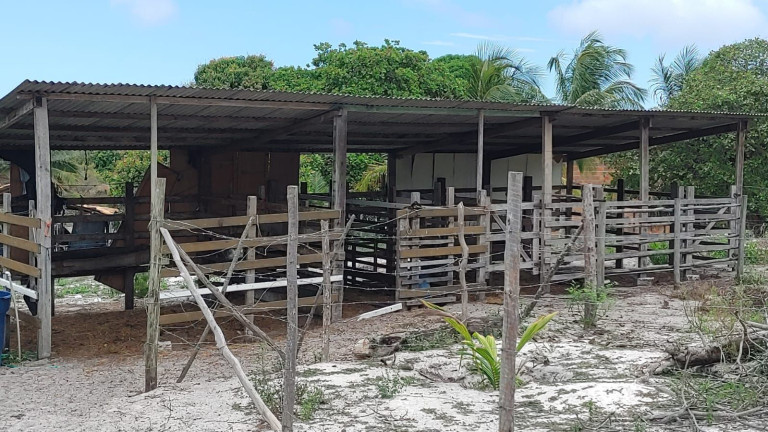 Imagem Fazenda à Venda, 200 m² em Acú Da Torre - Mata De São João Imagem Fazenda à Venda, 200 m² em Acú Da Torre - Mata De São João