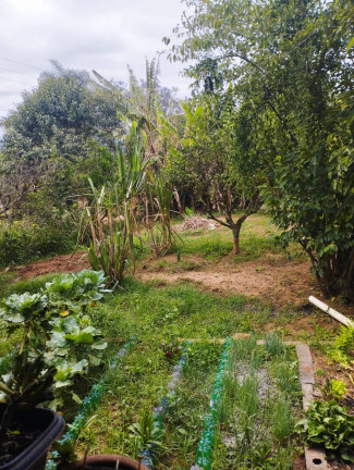 Imagem Chácara com 3 Quartos à Venda, 1.680 m² em Jardim Cananéia - Pilar Do Sul Imagem Chácara com 3 Quartos à Venda, 1.680 m² em Jardim Cananéia - Pilar Do Sul