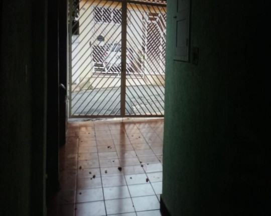 Imagem Casa com 2 Quartos à Venda, 183 m² em Alto Da Lapa - São Paulo